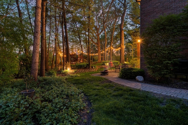 1396 Notre Dame Dr, Lemont, IL 60439 - view of grassy yard featuring an outdoor fire pit