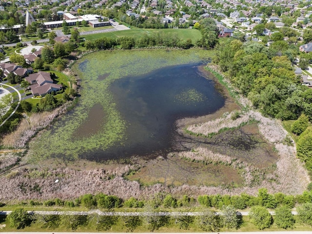 1396 Notre Dame Dr, Lemont, IL 60439 - aerial overview of property's location with a large body of water and nearby suburban area