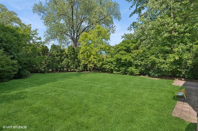 2236 Birchwood Ave, Wilmette, IL 60091 - view of grassy yard