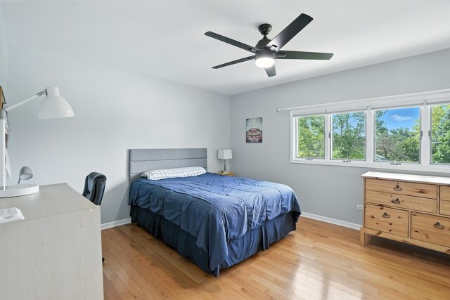 7855 Silver Ct, Orland Park, IL 60462 - bedroom featuring light wood finished floors, multiple windows, and ceiling fan