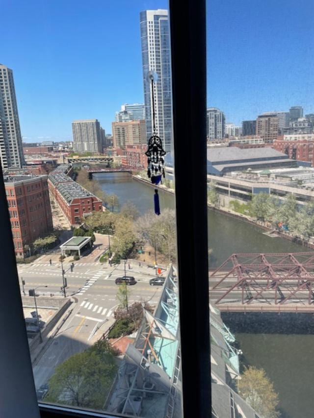 345 N Canal St Unit 1204, Chicago, IL 60606 - water view with nearby urban area