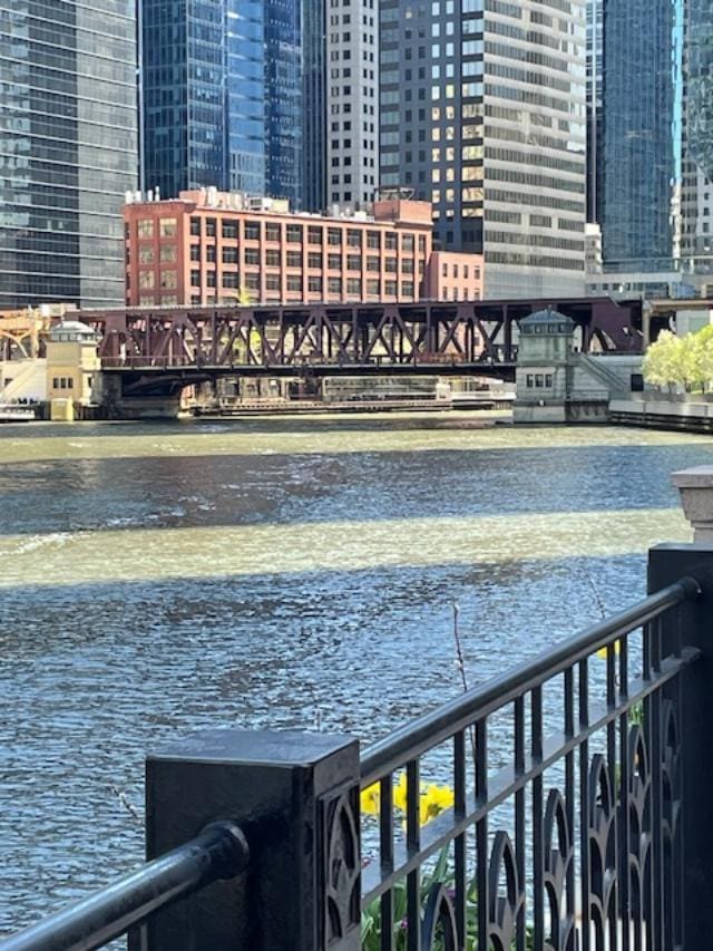 345 N Canal St Unit 1204, Chicago, IL 60606 - water view featuring nearby urban area and a notable bridge