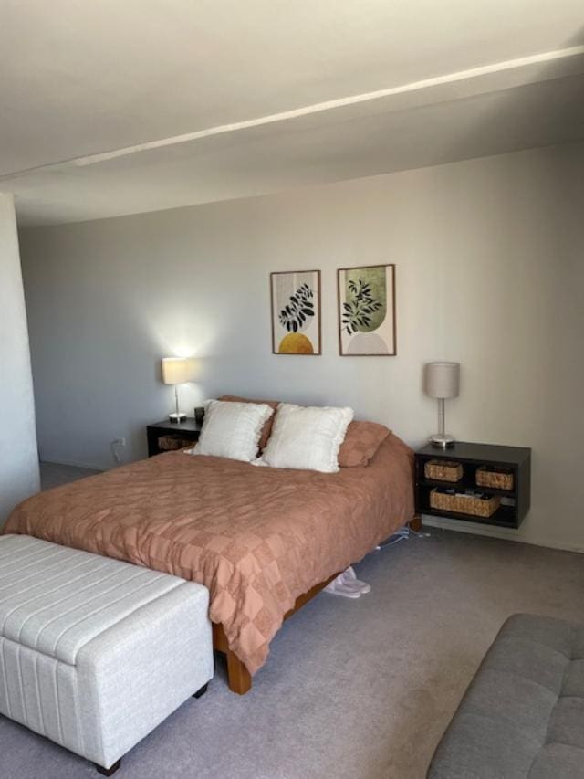 345 N Canal St Unit 1204, Chicago, IL 60606 - view of carpeted bedroom