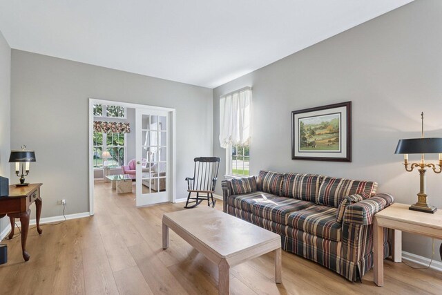 1128 Teasel Ln, Naperville, IL 60564 - living area with plenty of natural light and light wood-style floors
