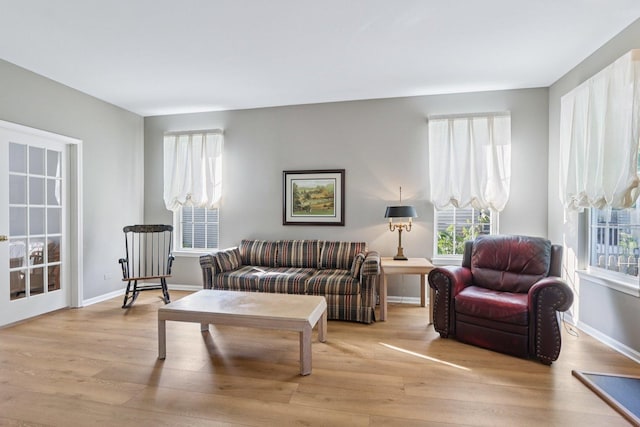 1128 Teasel Ln, Naperville, IL 60564 - living area with light wood-style flooring and baseboards