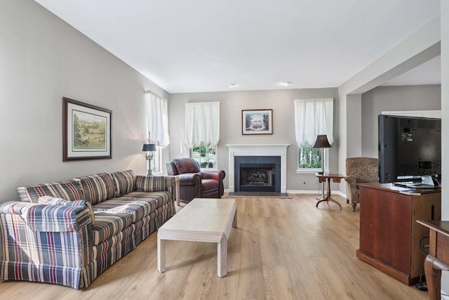 1128 Teasel Ln, Naperville, IL 60564 - living room featuring wood finished floors and a fireplace with raised hearth