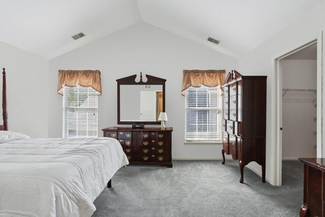 1128 Teasel Ln, Naperville, IL 60564 - bedroom with lofted ceiling, carpet flooring, and a spacious closet