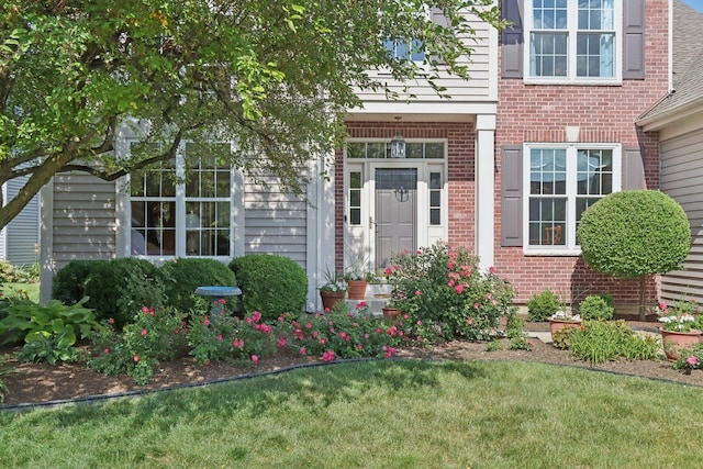1128 Teasel Ln, Naperville, IL 60564 - view of exterior entry featuring brick siding and a lawn
