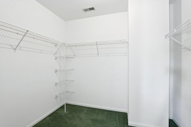 1128 Teasel Ln, Naperville, IL 60564 - walk in closet featuring carpet floors