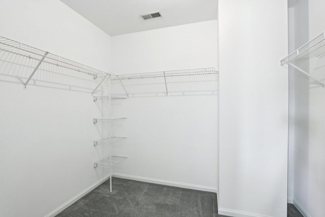 1128 Teasel Ln, Naperville, IL 60564 - walk in closet featuring dark colored carpet