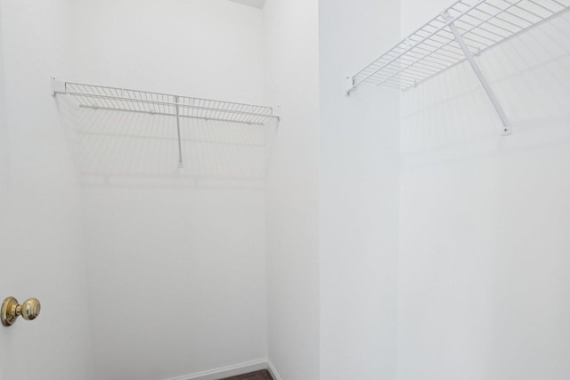 1128 Teasel Ln, Naperville, IL 60564 - view of spacious closet