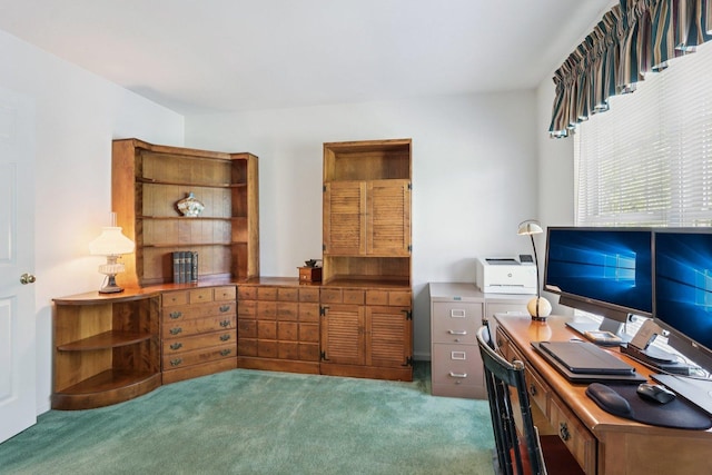 1128 Teasel Ln, Naperville, IL 60564 - view of carpeted office