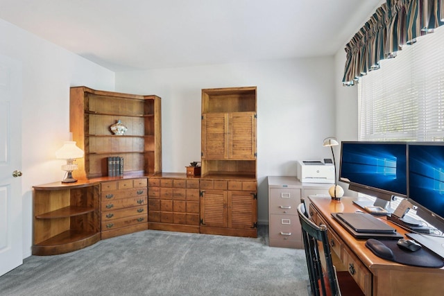 1128 Teasel Ln, Naperville, IL 60564 - office featuring carpet floors