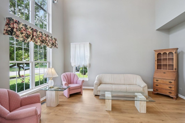 1128 Teasel Ln, Naperville, IL 60564 - living area featuring light wood-style flooring and a high ceiling