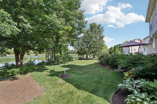 1128 Teasel Ln, Naperville, IL 60564 - view of green lawn with a water view