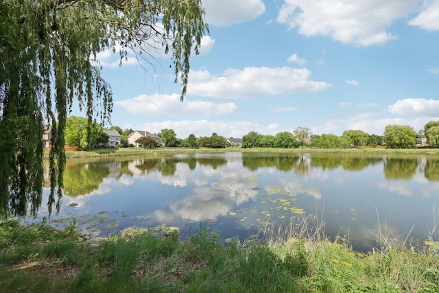 1128 Teasel Ln, Naperville, IL 60564 - water view