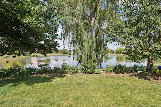1128 Teasel Ln, Naperville, IL 60564 - water view