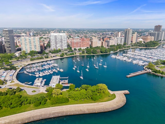 3200 N Lake Shore Dr N Unit 1910, Chicago, IL 60657 - view of urban area with numerous boat docks and a large body of water