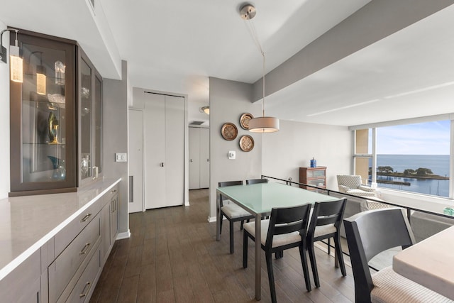 3200 N Lake Shore Dr N Unit 1910, Chicago, IL 60657 - dining space featuring dark wood-type flooring and a water view