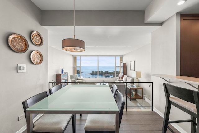 3200 N Lake Shore Dr N Unit 1910, Chicago, IL 60657 - dining room featuring wood finished floors and a water view