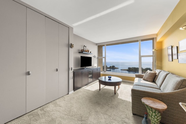 3200 N Lake Shore Dr N Unit 1910, Chicago, IL 60657 - living room featuring carpet