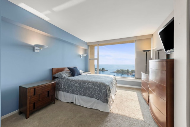 3200 N Lake Shore Dr N Unit 1910, Chicago, IL 60657 - bedroom featuring carpet and baseboards