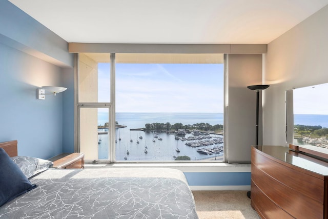 3200 N Lake Shore Dr N Unit 1910, Chicago, IL 60657 - bedroom with carpet flooring and baseboards
