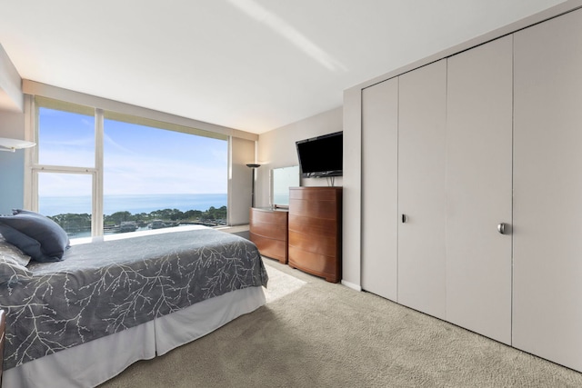 3200 N Lake Shore Dr N Unit 1910, Chicago, IL 60657 - bedroom featuring carpet and a closet