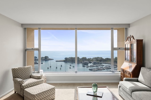 3200 N Lake Shore Dr N Unit 1910, Chicago, IL 60657 - living room featuring carpet and a water view
