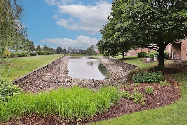 768 W St Johns Pl, Addison, IL 60101 - view of property's community featuring a yard and a water view