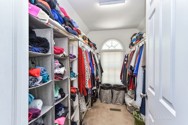 459 Waubonsee Cir, Oswego, IL 60543 - spacious closet featuring carpet and lofted ceiling