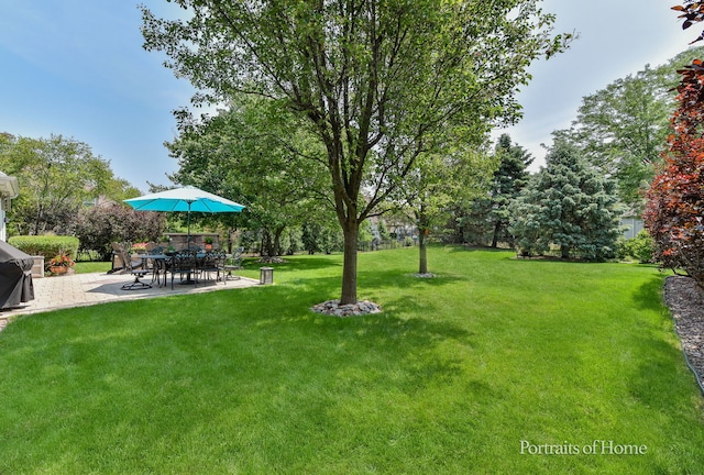 459 Waubonsee Cir, Oswego, IL 60543 - view of grassy yard with a patio area