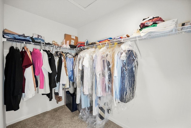 2029 Magnolia Ln, Wonder Lake, IL 60097 - walk in closet with carpet flooring and attic access