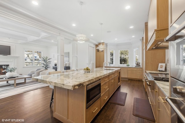 910 S Park Ave, Hinsdale, IL 60521 - photo 10