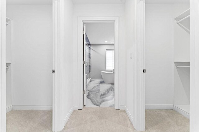 6705 W 91st Pl, Oak Lawn, IL 60453 - spacious closet featuring carpet flooring