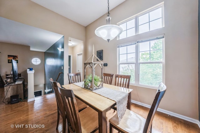 130 Clubhouse Ln Unit 029, Oswego, IL 60543 - dining room with wood finished floors and a towering ceiling
