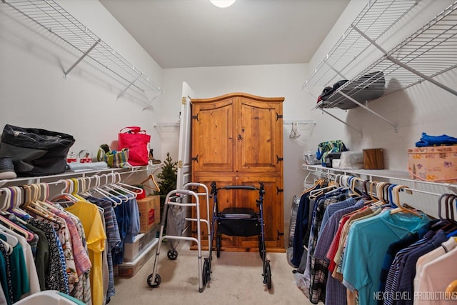 11298 Maplewood Ave, Huntley, IL 60142 - walk in closet with light carpet