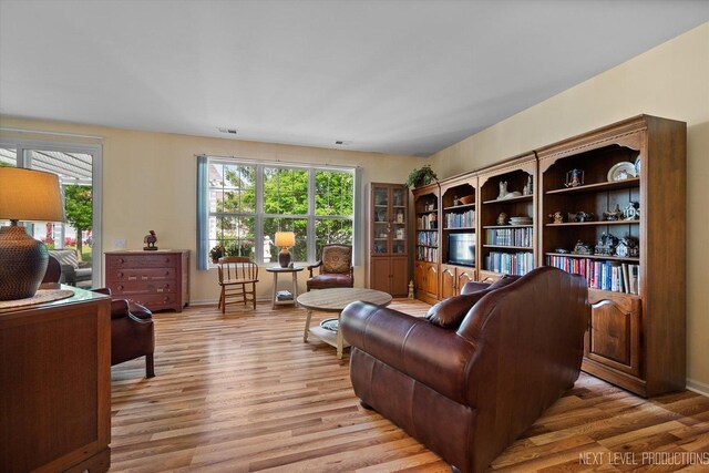 11298 Maplewood Ave, Huntley, IL 60142 - living room featuring light wood finished floors