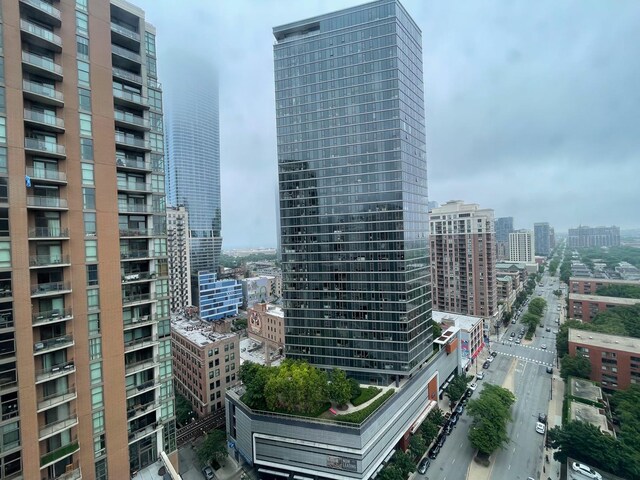 899 S Plymouth Ct Unit 2108, Chicago, IL 60605 - photo 24