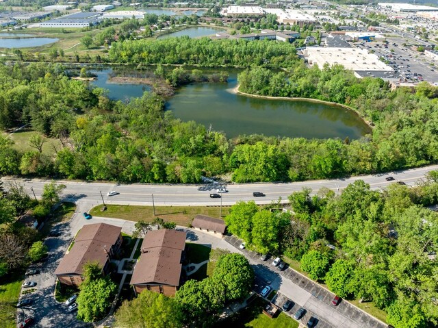 18205 Hart Dr Unit 1A, Homewood, IL 60430 - view of property location featuring a nearby body of water