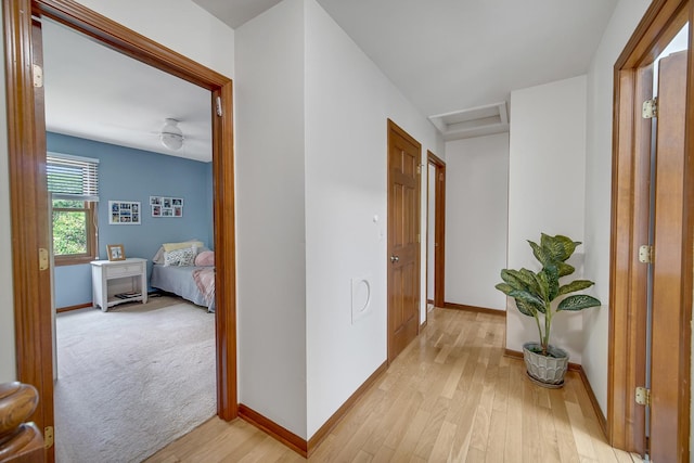 963 Monticello Dr, Naperville, IL 60563 - hallway with light wood-type flooring and attic access