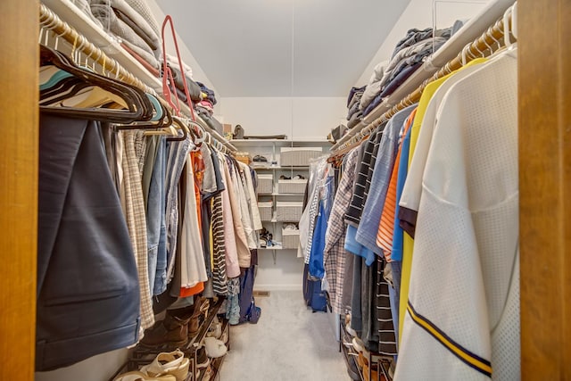 963 Monticello Dr, Naperville, IL 60563 - spacious closet with carpet