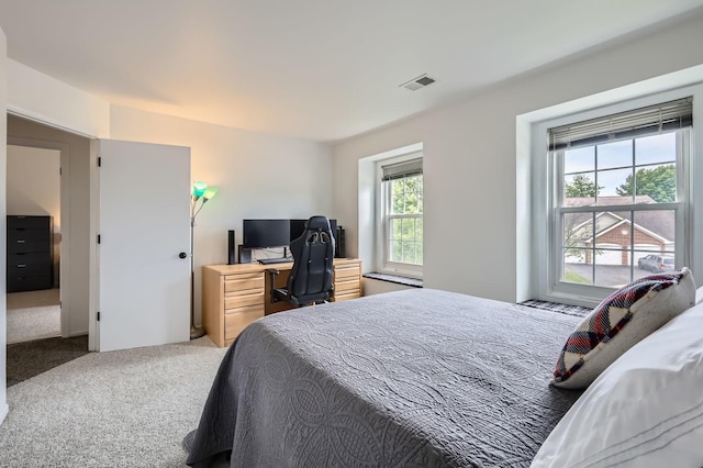 1240 Winfield Ct Unit 4, Roselle, IL 60172 - bedroom with carpet flooring and an office area