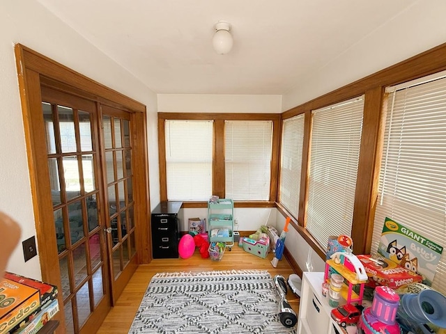 405 N Division Ave, Polo, IL 61064 - rec room with light wood finished floors and french doors
