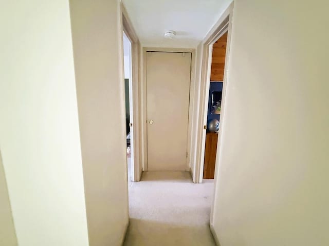 405 N Division Ave, Polo, IL 61064 - hall featuring carpet
