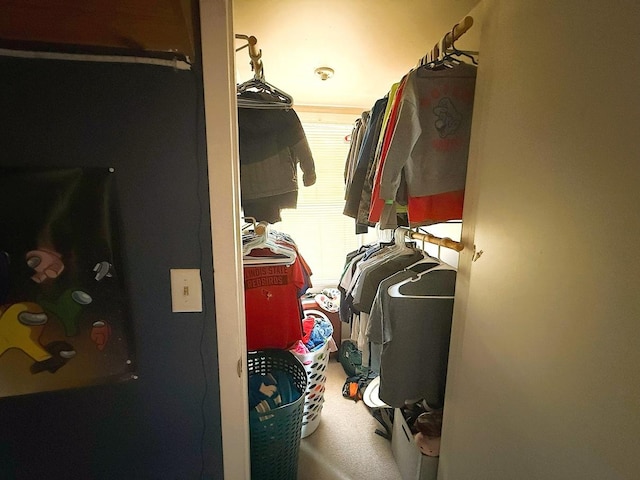 405 N Division Ave, Polo, IL 61064 - walk in closet featuring carpet flooring