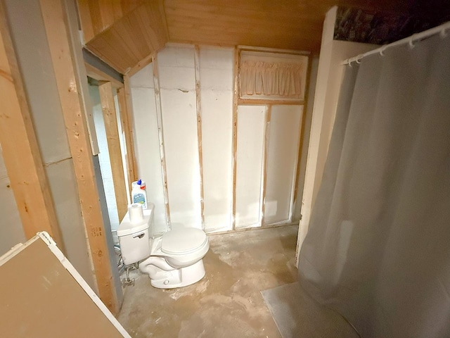 405 N Division Ave, Polo, IL 61064 - bathroom with concrete flooring, curtained shower, and lofted ceiling