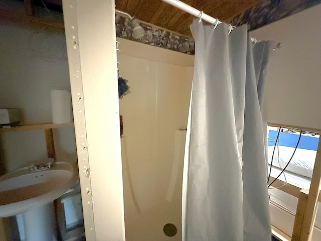 405 N Division Ave, Polo, IL 61064 - full bath with a shower with shower curtain