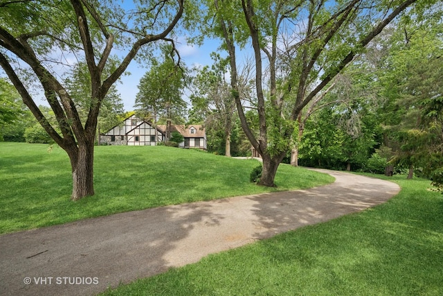 674 Plum Tree Rd, Barrington Hills, IL 60010 - view of green lawn
