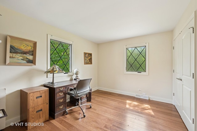 674 Plum Tree Rd, Barrington Hills, IL 60010 - office space with plenty of natural light and light wood-style flooring
